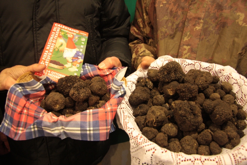 calestano_fiera_tartufo_tartufo