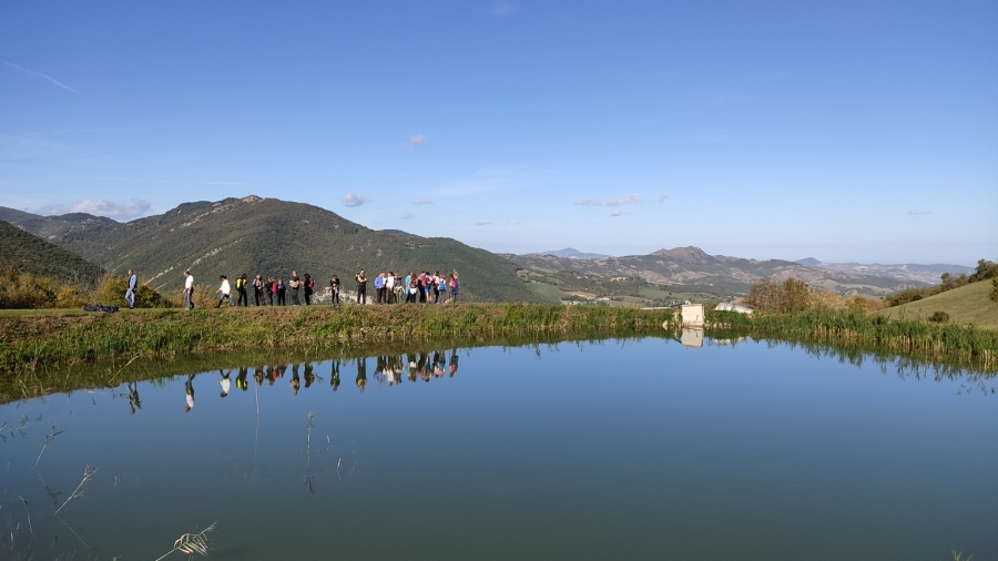 alpicella_lago