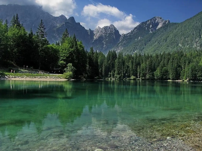 fusine