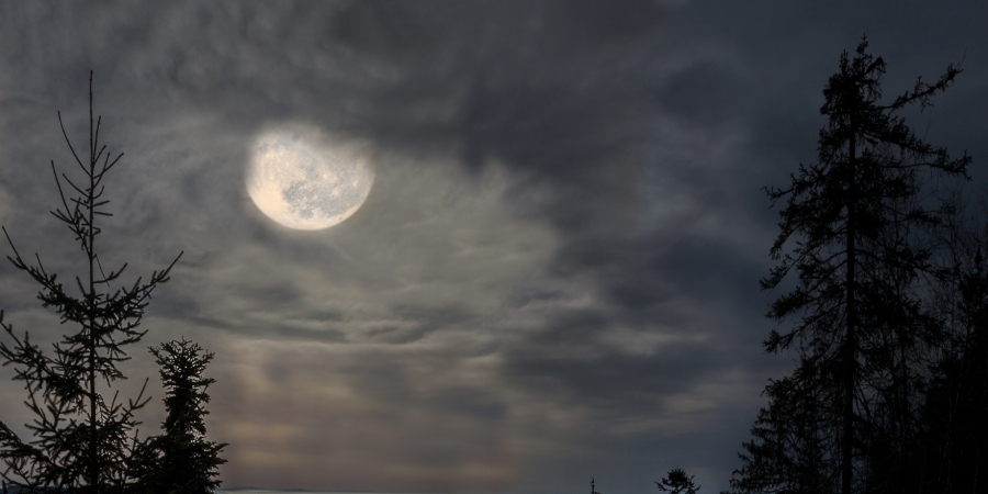 lunata_2026