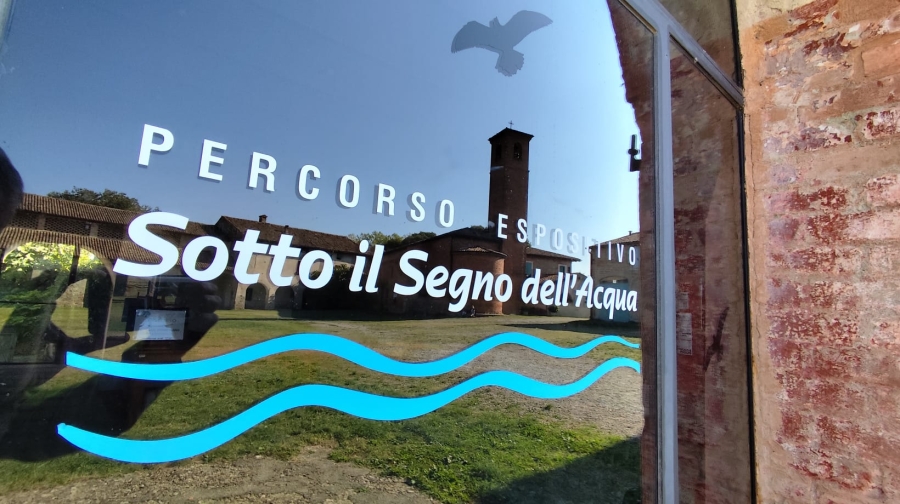 parco_taro
