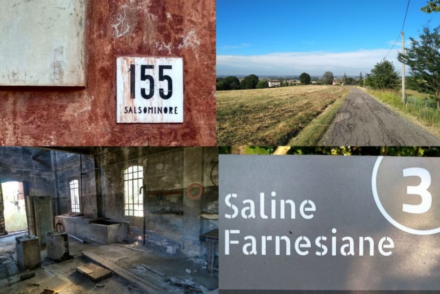 saline_farnesiane_rid