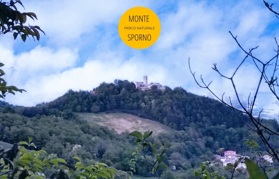 sporno_pieve_castrignano