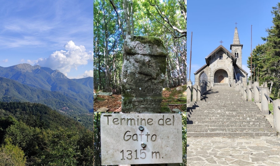 termine_del_gatto_2
