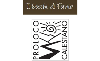 logo_procalestano-fornio2.jpg